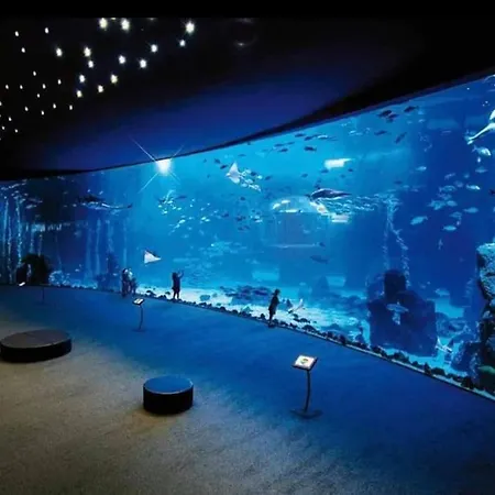 Appartement 2rooms, Dishwasher Good Location Canteras Las Palmas