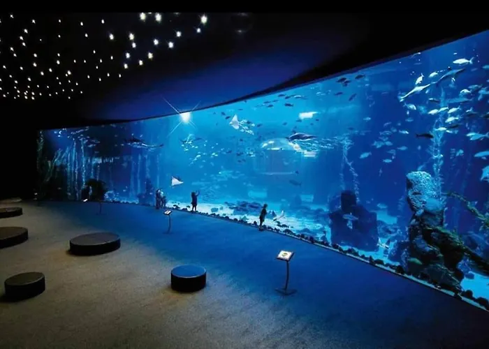 Apartment 2rooms, Dishwasher Good Location Canteras Las Palmas / Gran Canaria